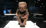 The Detmold Child, Peruvian mummy, 4504-4457 B.C.